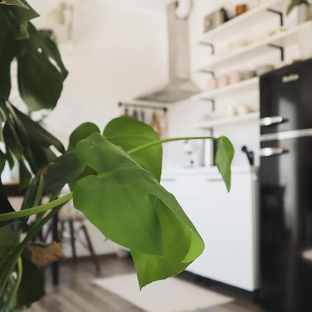 לובליאנה Urban Jungle Apartment - Free Parking מראה חיצוני תמונה