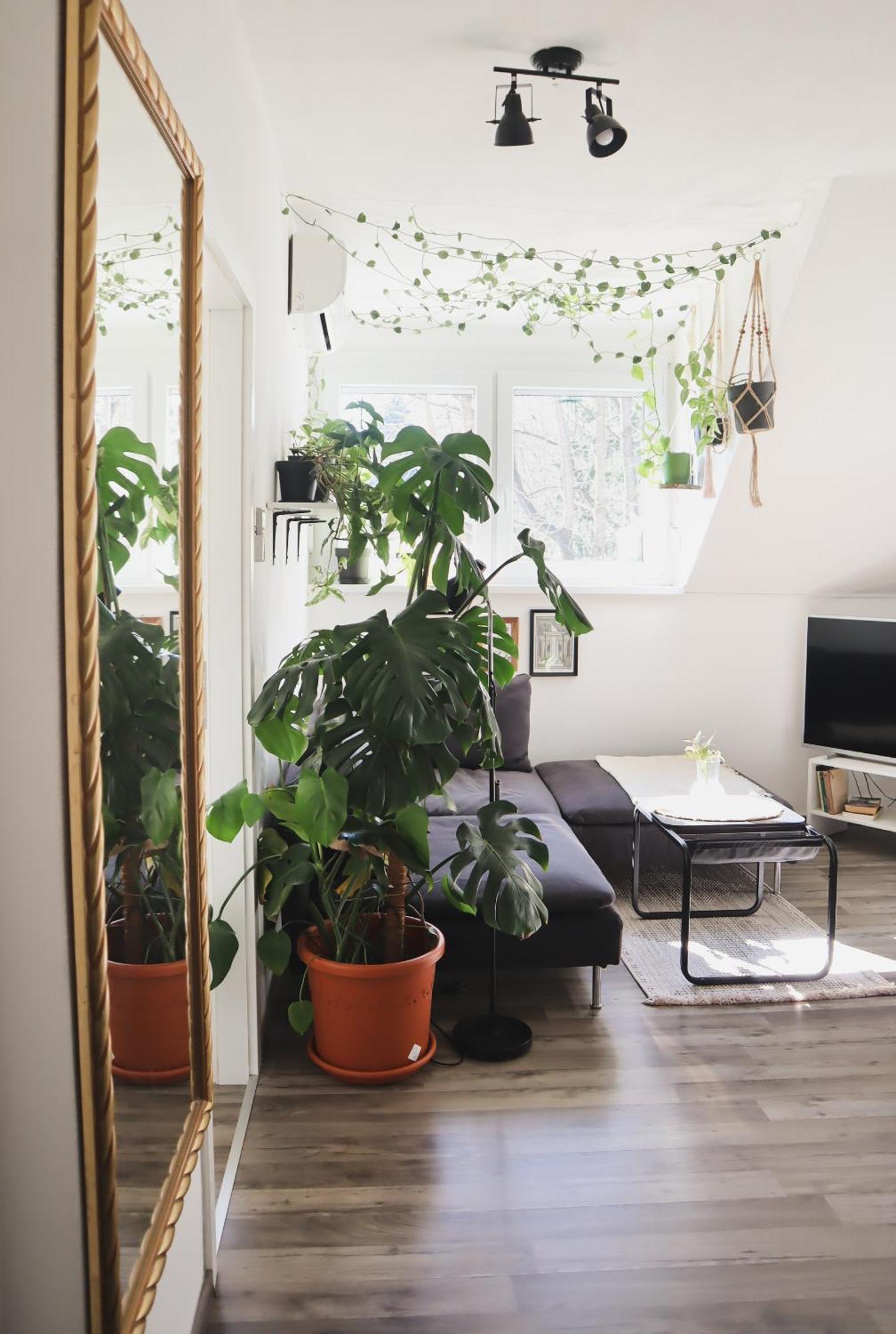 לובליאנה Urban Jungle Apartment - Free Parking מראה חיצוני תמונה