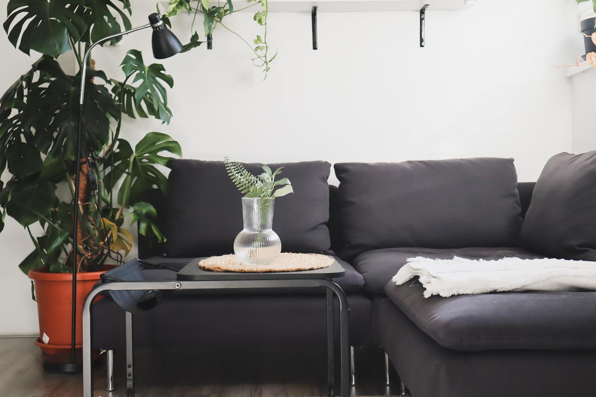 לובליאנה Urban Jungle Apartment - Free Parking מראה חיצוני תמונה