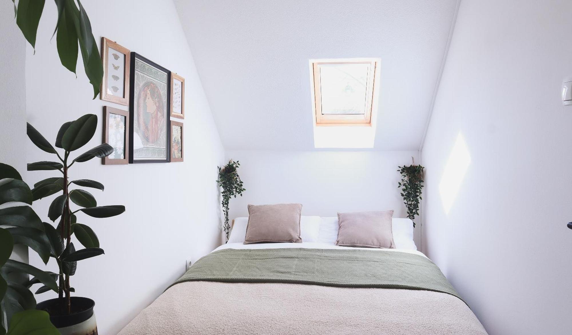 לובליאנה Urban Jungle Apartment - Free Parking מראה חיצוני תמונה