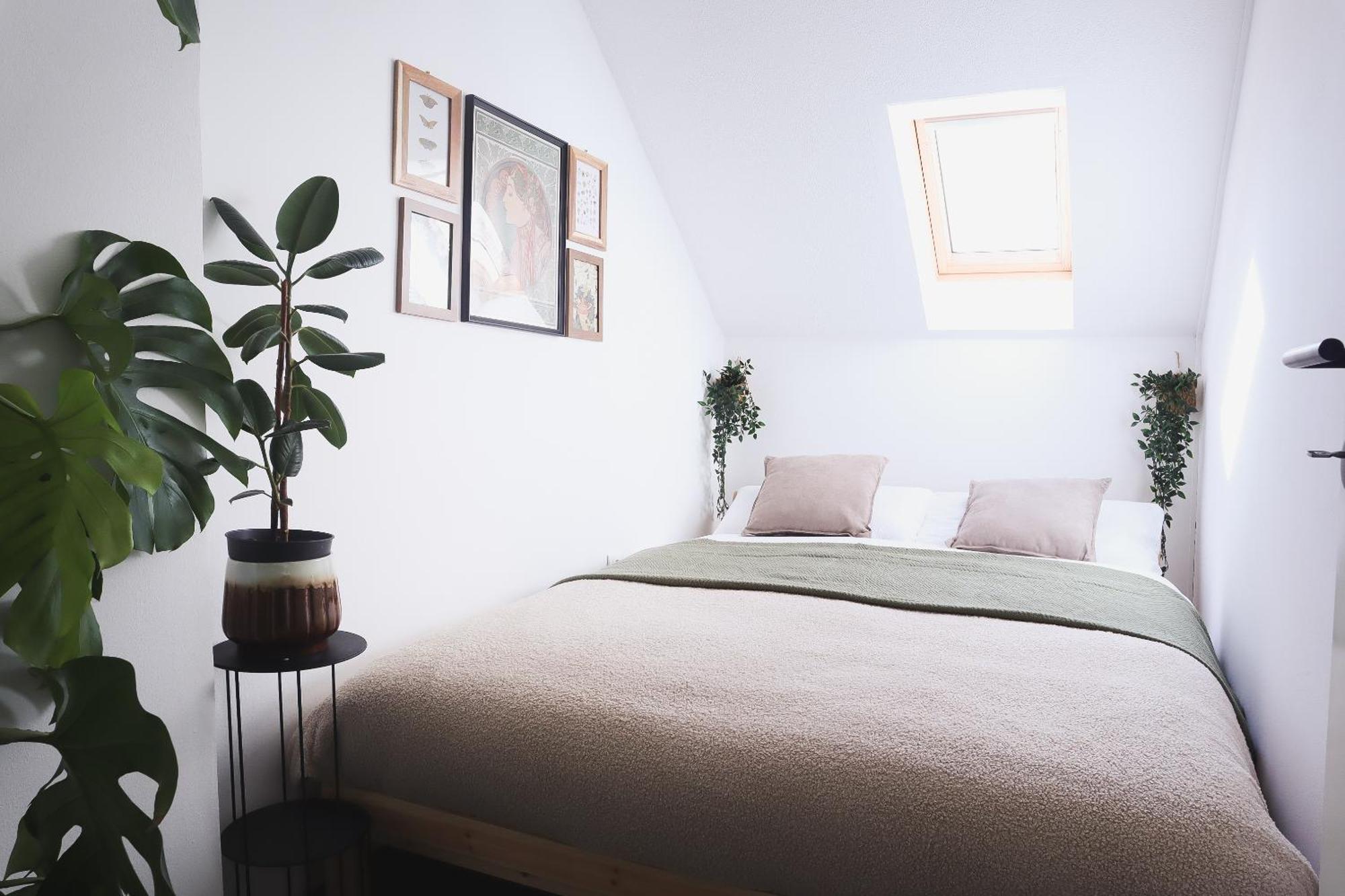 לובליאנה Urban Jungle Apartment - Free Parking מראה חיצוני תמונה
