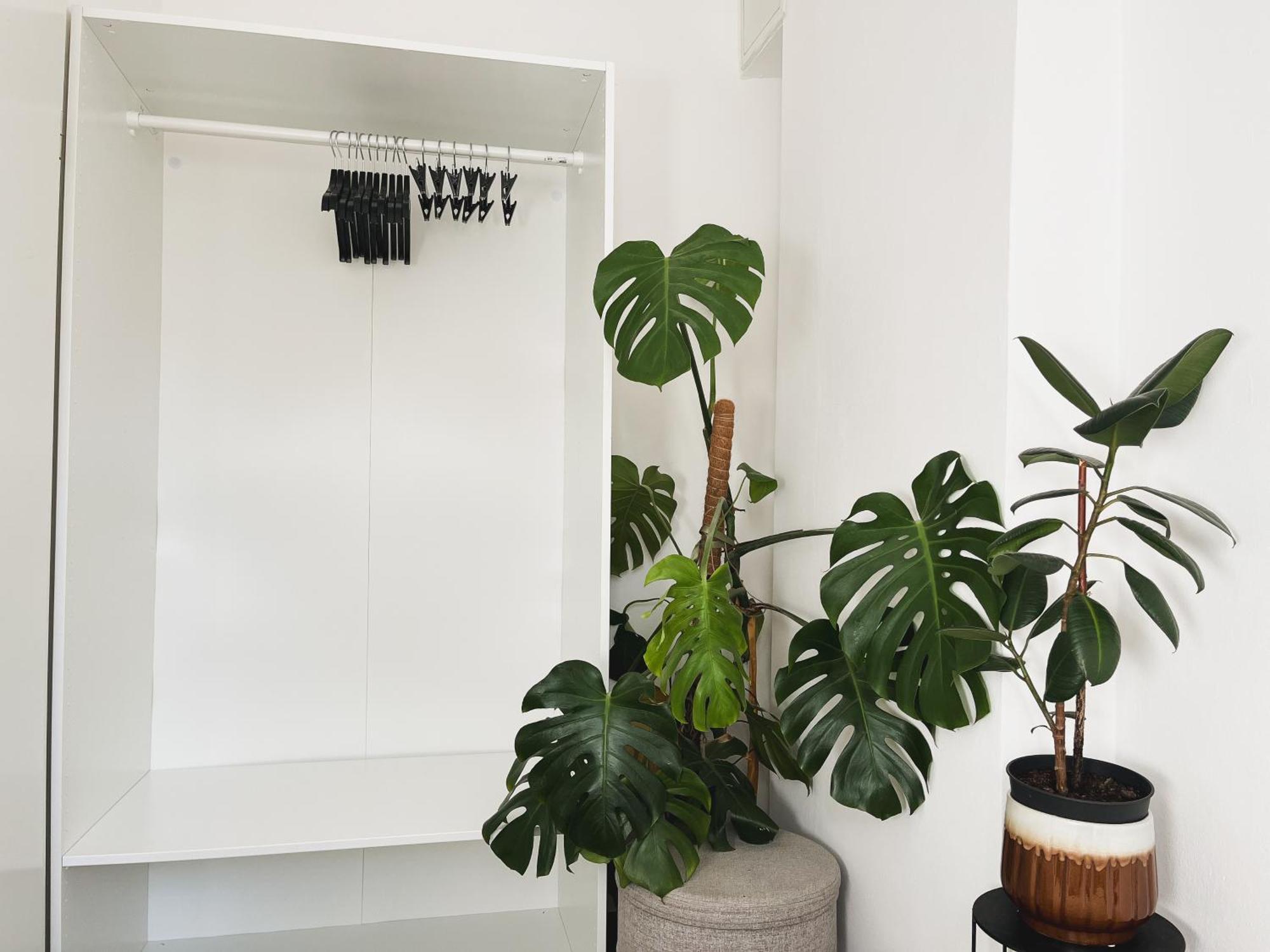 לובליאנה Urban Jungle Apartment - Free Parking מראה חיצוני תמונה